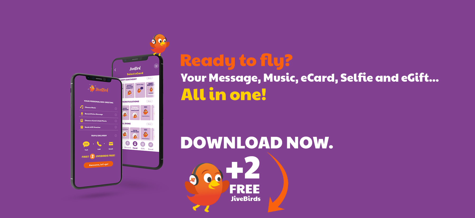 Welcome to JiveBird.